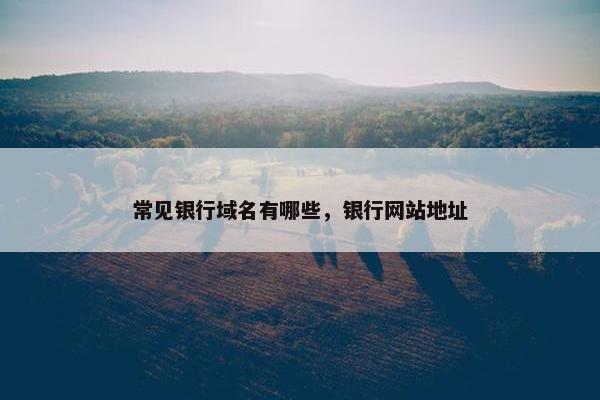 常见银行域名有哪些，银行网站地址