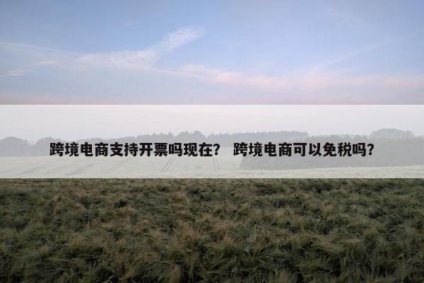跨境电商支持开票吗现在？ 跨境电商可以免税吗？