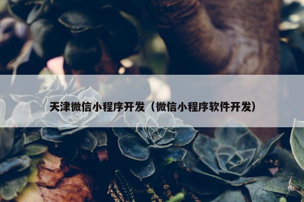 天津微信小程序开发（微信小程序软件开发）