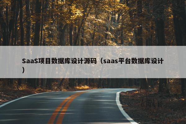SaaS项目数据库设计源码（saas平台数据库设计）