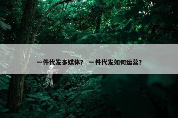 一件代发多媒体？ 一件代发如何运营？