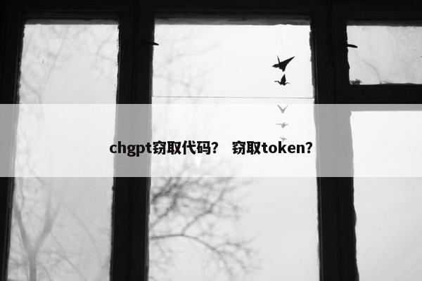 chgpt窃取代码？ 窃取token？