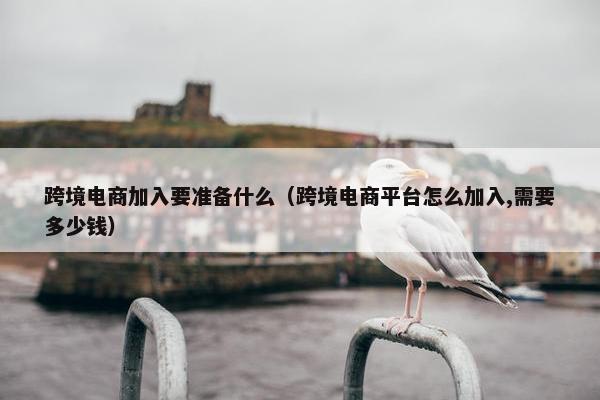 跨境电商加入要准备什么（跨境电商平台怎么加入,需要多少钱）