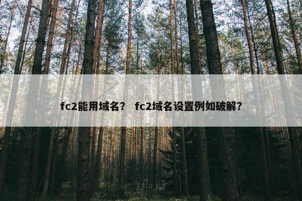 fc2能用域名？ fc2域名设置例如破解？