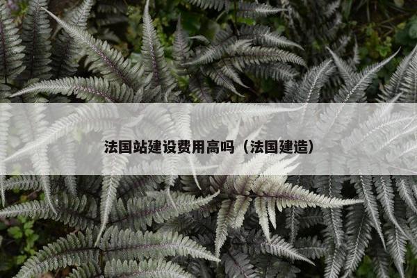 法国站建设费用高吗（法国建造）