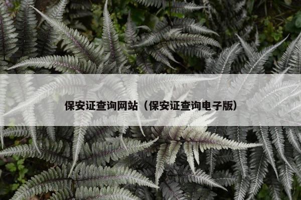保安证查询网站（保安证查询电子版）