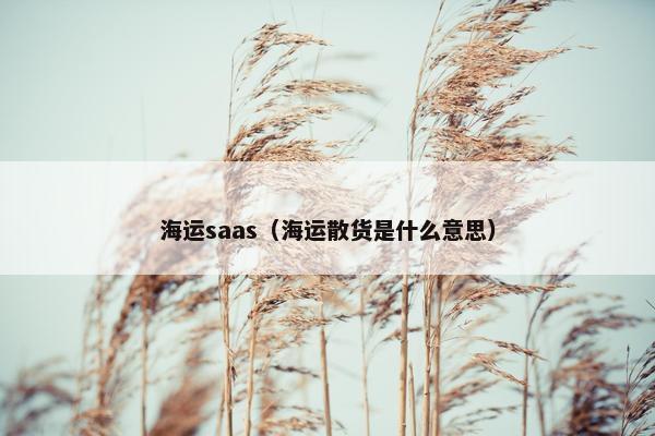 海运saas（海运散货是什么意思）