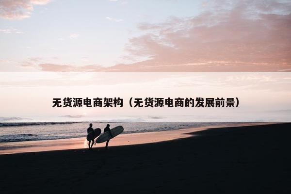 无货源电商架构（无货源电商的发展前景）