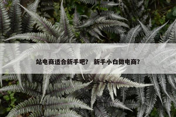 站电商适合新手吧？ 新手小白做电商？