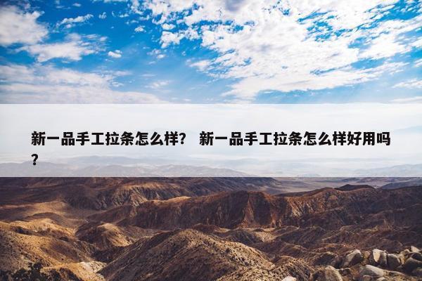 新一品手工拉条怎么样？ 新一品手工拉条怎么样好用吗？