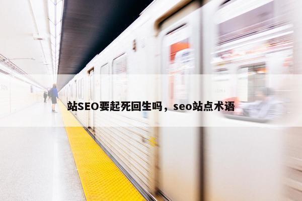 站SEO要起死回生吗，seo站点术语