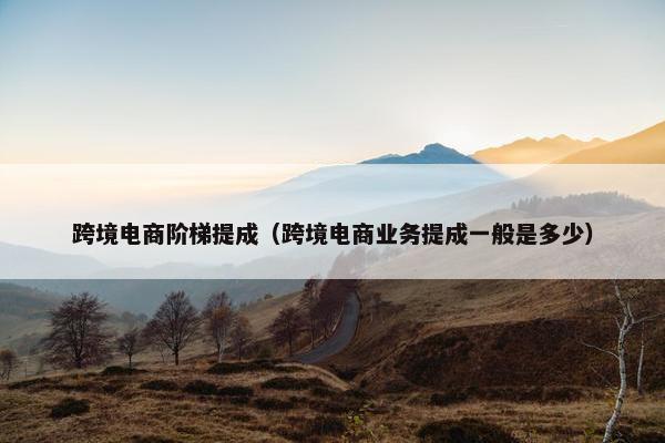 跨境电商阶梯提成（跨境电商业务提成一般是多少）