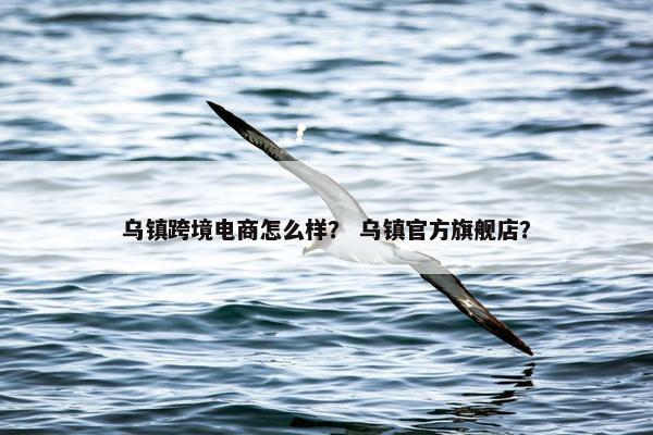 乌镇跨境电商怎么样？ 乌镇官方旗舰店？