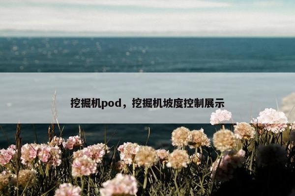 挖掘机pod，挖掘机坡度控制展示