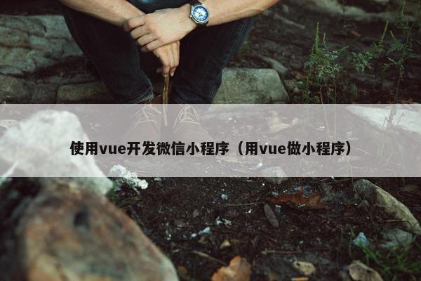 使用vue开发微信小程序（用vue做小程序）