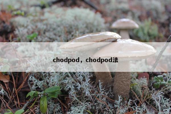 chodpod，chodpod法