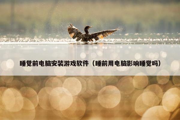 睡觉前电脑安装游戏软件（睡前用电脑影响睡觉吗）