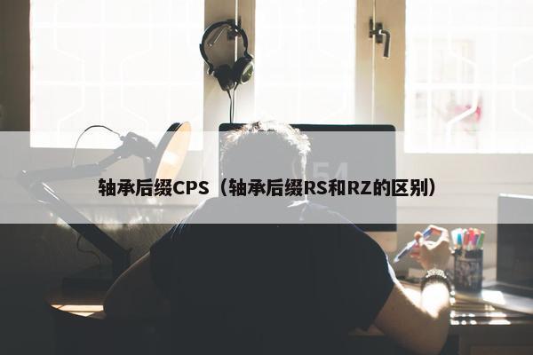 轴承后缀CPS（轴承后缀RS和RZ的区别）