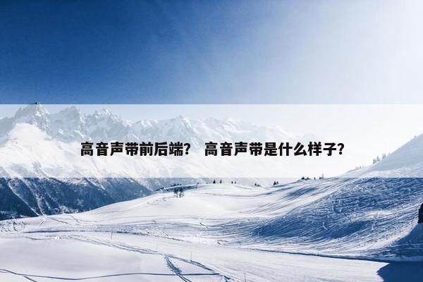 高音声带前后端？ 高音声带是什么样子？