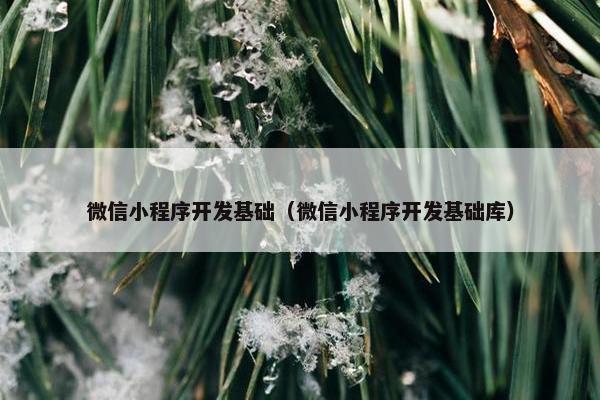 微信小程序开发基础（微信小程序开发基础库）