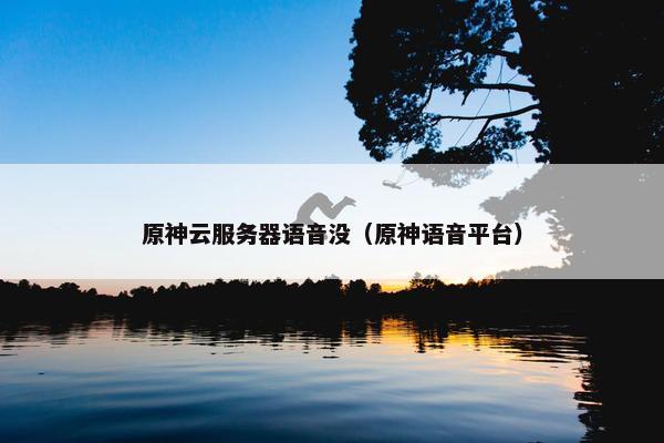 原神云服务器语音没（原神语音平台）