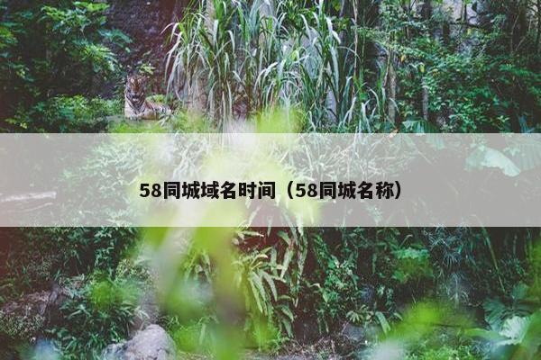 58同城域名时间（58同城名称）