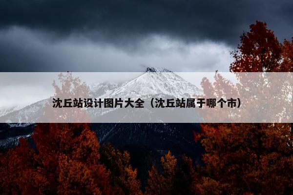 沈丘站设计图片大全（沈丘站属于哪个市）