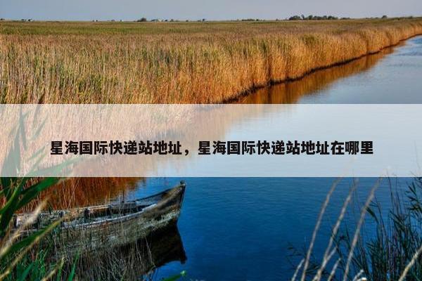 星海国际快递站地址，星海国际快递站地址在哪里