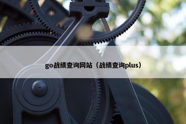 go战绩查询网站（战绩查询plus）