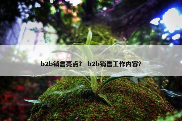 b2b销售亮点？ b2b销售工作内容？