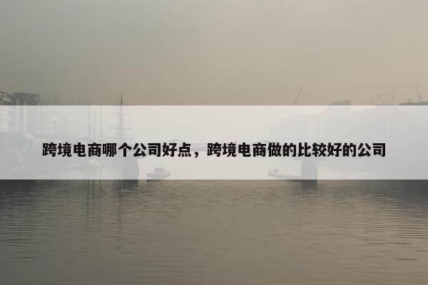 跨境电商哪个公司好点，跨境电商做的比较好的公司