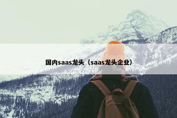 国内saas龙头（saas龙头企业）