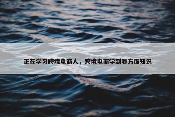 正在学习跨境电商人，跨境电商学到哪方面知识