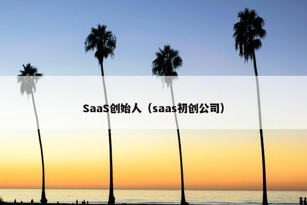 SaaS创始人（saas初创公司）
