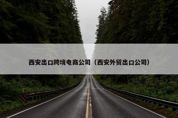 西安出口跨境电商公司（西安外贸出口公司）