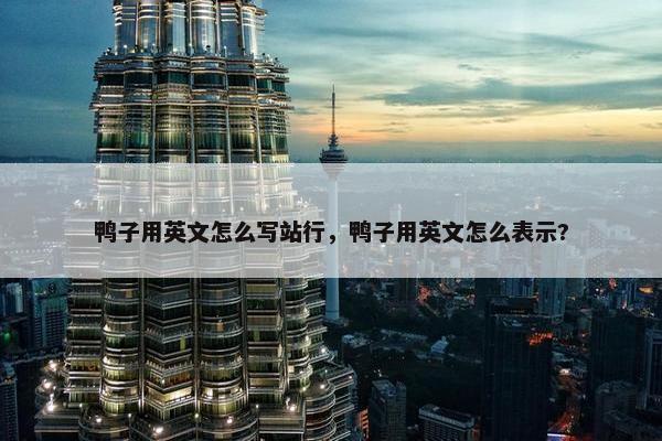 鸭子用英文怎么写站行，鸭子用英文怎么表示?