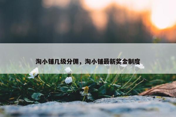 淘小铺几级分佣，淘小铺最新奖金制度