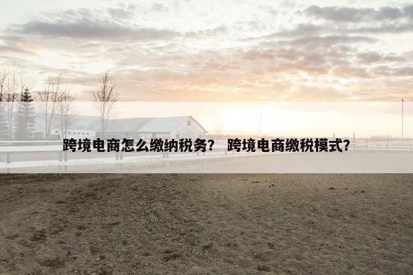 跨境电商怎么缴纳税务？ 跨境电商缴税模式？