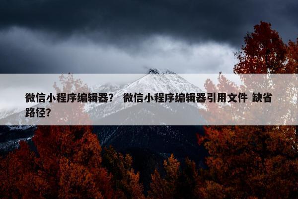 微信小程序编辑器？ 微信小程序编辑器引用文件 缺省路径？