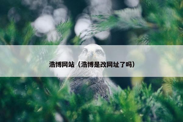 浩博网站（浩博是改网址了吗）