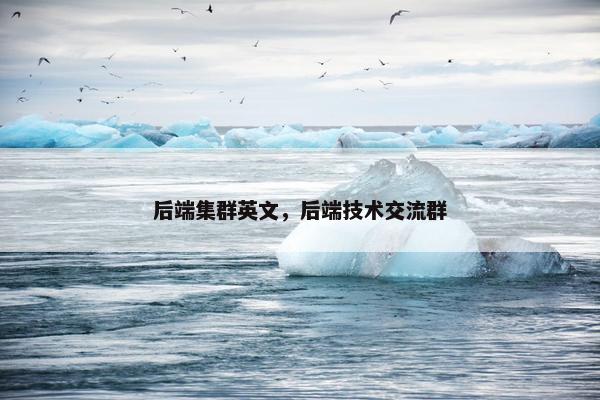 后端集群英文，后端技术交流群