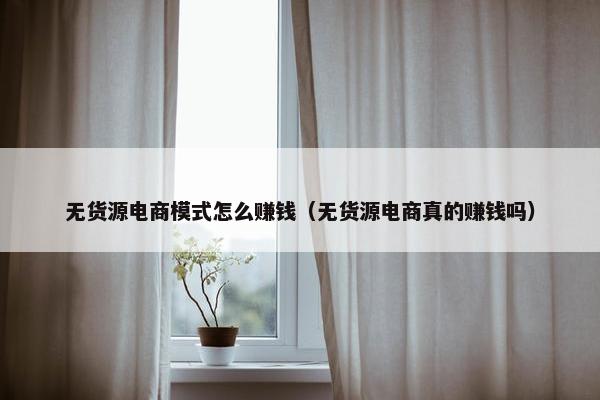 无货源电商模式怎么赚钱（无货源电商真的赚钱吗）