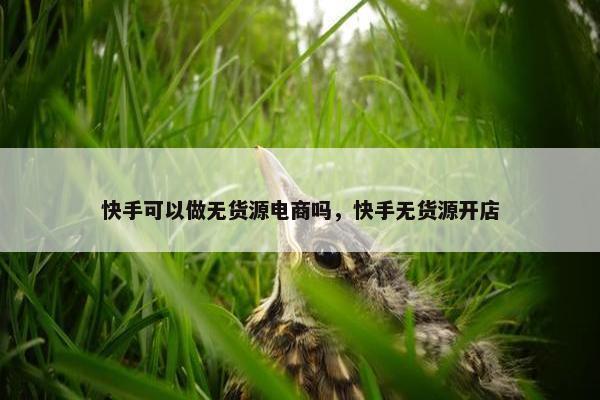 快手可以做无货源电商吗，快手无货源开店