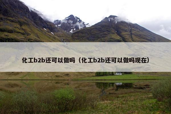 化工b2b还可以做吗（化工b2b还可以做吗现在）