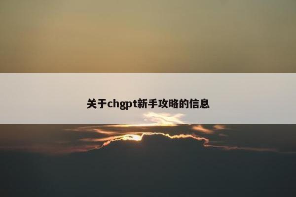关于chgpt新手攻略的信息