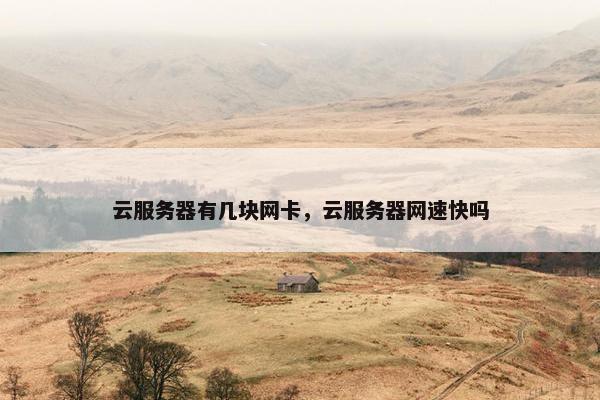 云服务器有几块网卡，云服务器网速快吗