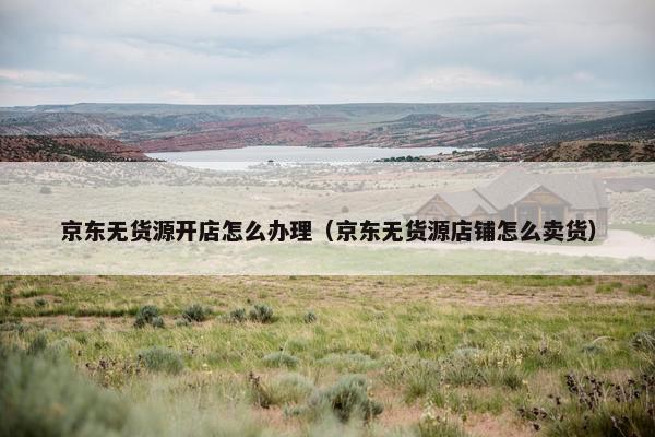 京东无货源开店怎么办理（京东无货源店铺怎么卖货）