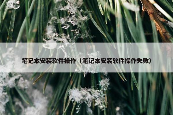 笔记本安装软件操作（笔记本安装软件操作失败）