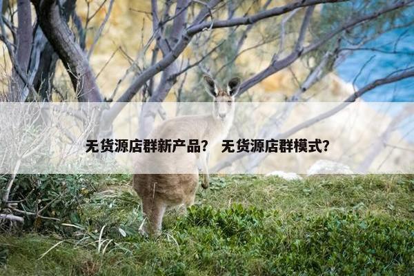 无货源店群新产品？ 无货源店群模式？