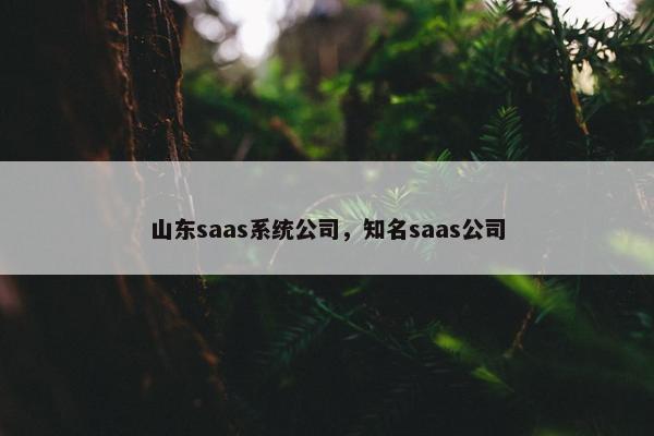 山东saas系统公司，知名saas公司